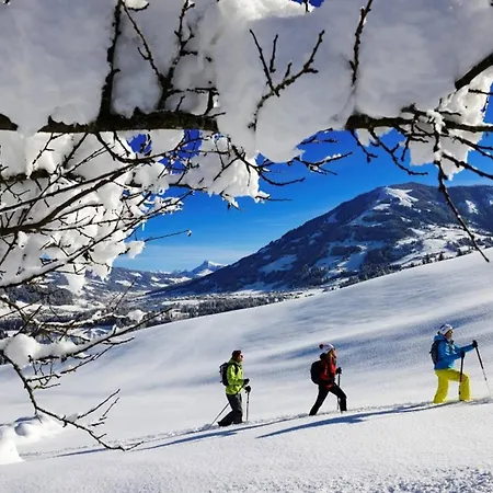 Apartment Garten Kirchberg By Alpine Host Helpers Kirchberg in Tirol