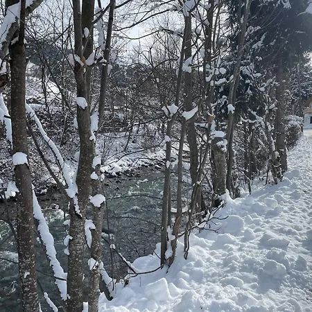 Garten Kirchberg By Alpine Host Helpers